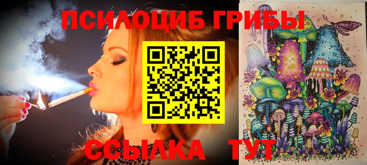 Галлюциногенные грибы Cubensis Псков